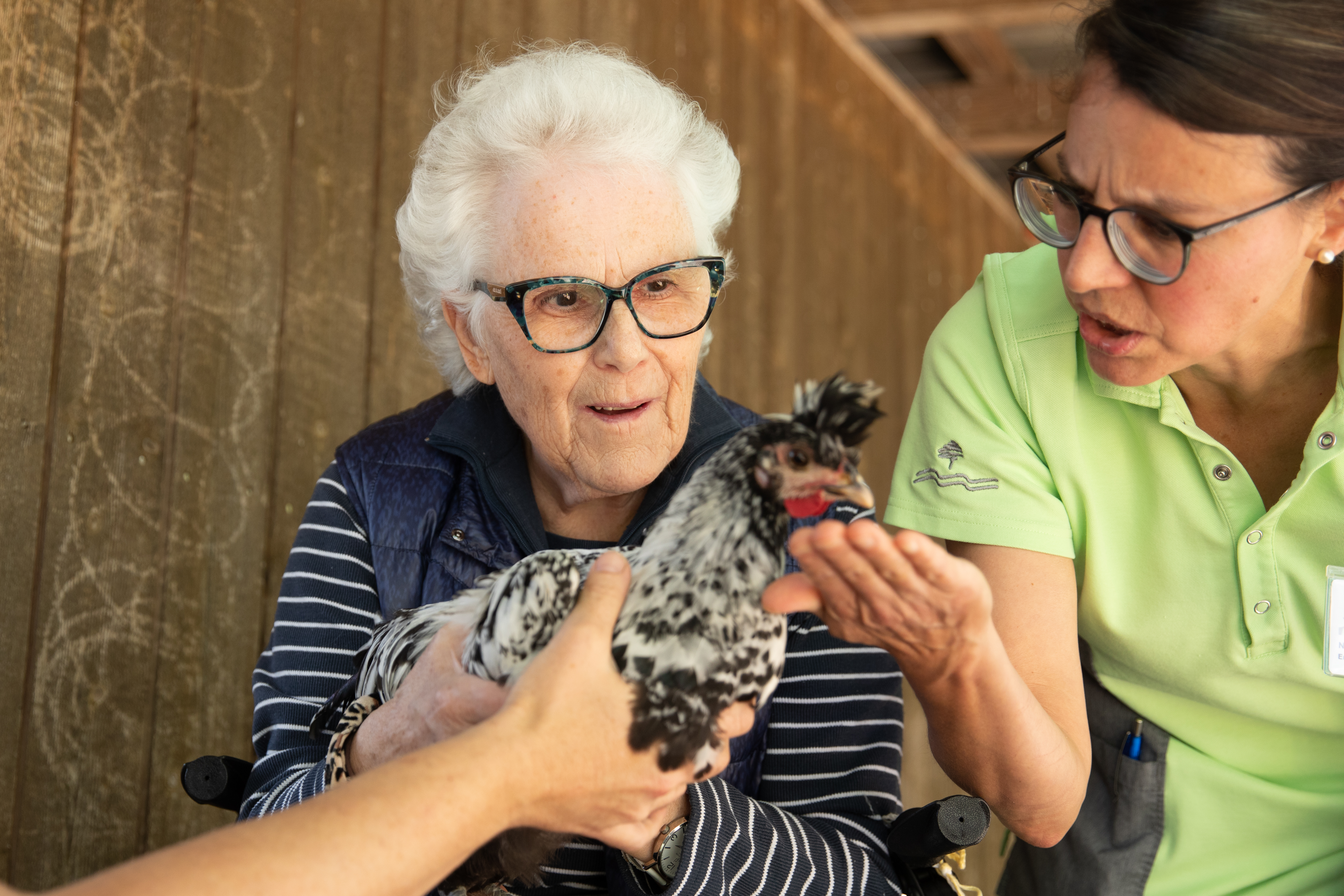 Tiergestützte Ergotherapie